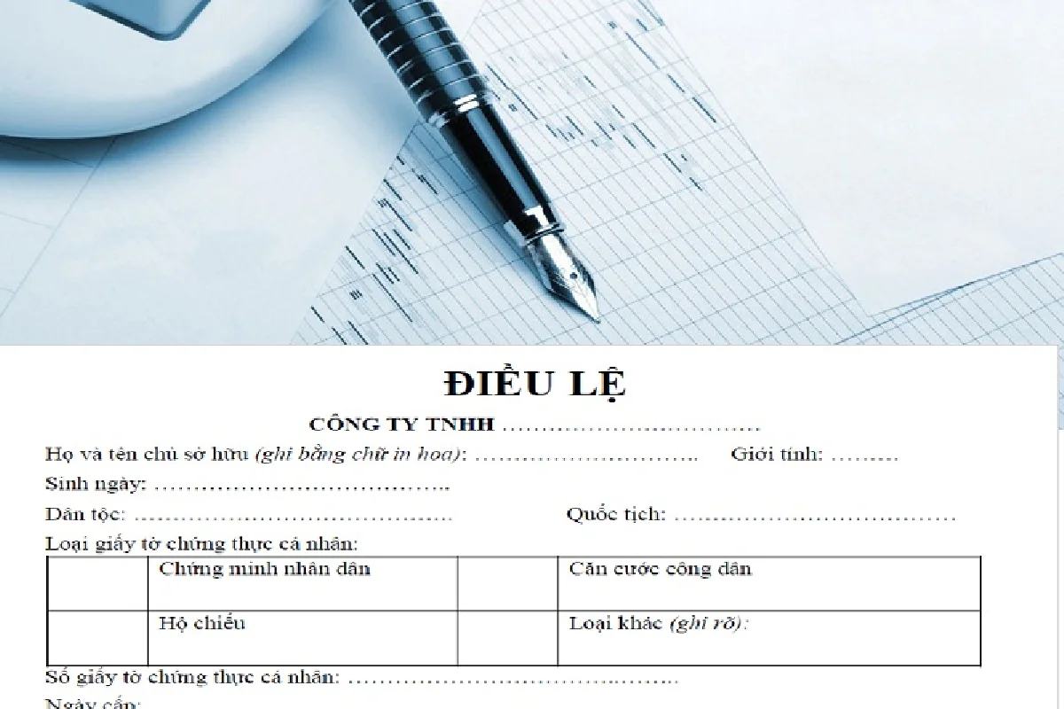 Điều lệ của công ty TNHH một thành viên.