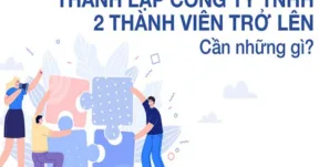Thành lập công ty TNHH 2 thành viên trở lên.
