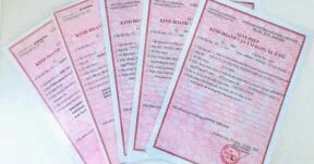 Vai trò của giấy phép kinh doanh vận tải.