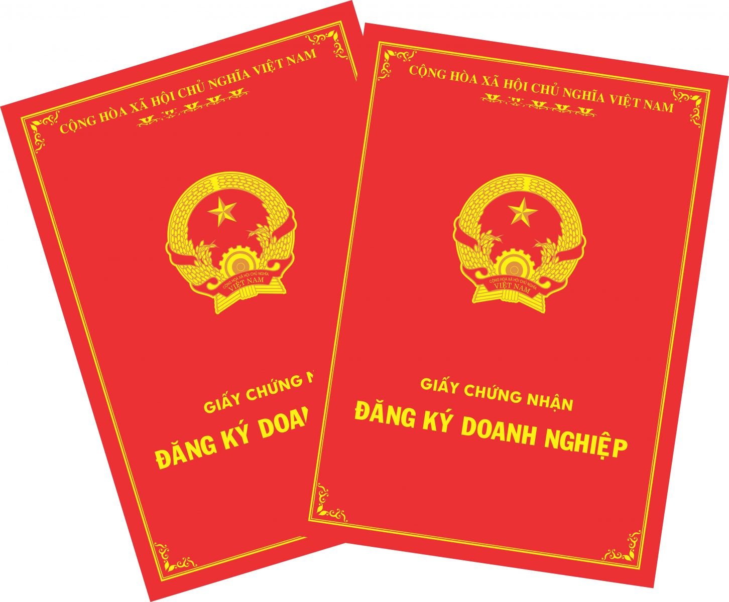 hỗ trợ thành lập công ty