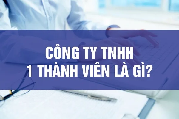 Công ty TNHH một thành viên.