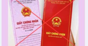 Bao lì xì Tết