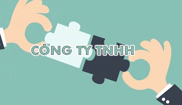 Tư vấn thành lập công ty trách nhiệm hữu hạn giá rẻ Công ty trách nhiệm hữu hạn.