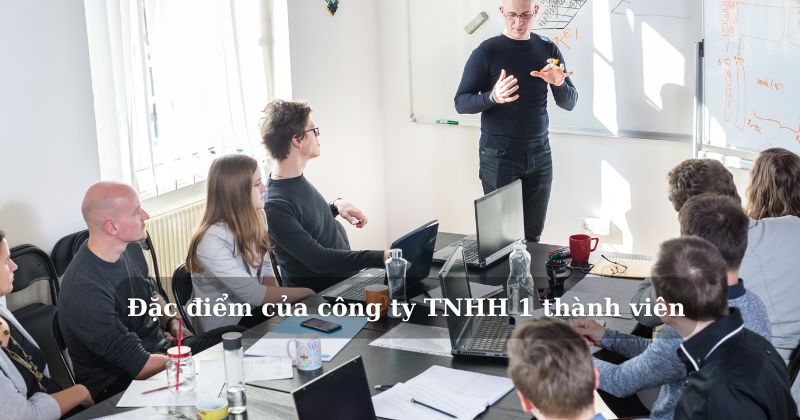 Đặc điểm của công ty TNHH 1 thành viên