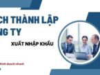 Cách thành lập công ty xuất nhập khẩu từ A đến Z chi tiết 