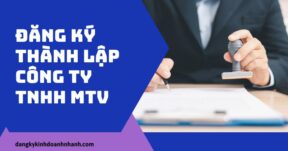 Đăng ký thành lập công ty TNHH MTV 